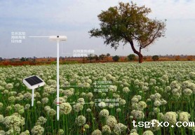 郑州扬尘监测 郑州扬尘监测